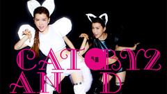 BY2 - Cat and Mouse