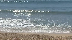 音乐短片 - 搁浅的心