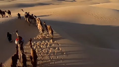 音乐短片 - 无尽的路