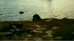 音乐短片 - 冷却多情弦