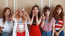 Apink - Apink 2nd Concert Pink Island 宣传片