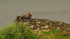 音乐短片 - Love & Kindness