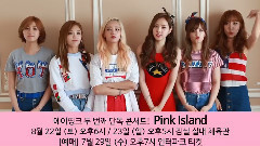 郑恩地(A Pink),A Pink - Apink 2nd Concert < Pink Island >宣传视频