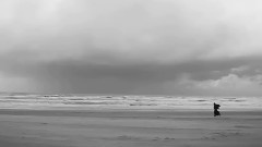 音乐短片 - Lead Me