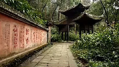 华语群星 - 心中的菩提