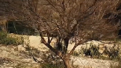 音乐短片 - L'absent