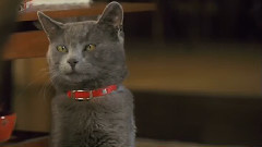 音乐短片 - Lighting & FX Demo Reel 2013