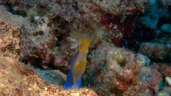 音乐短片 - 大海的风景