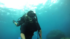 音乐短片 - Fernando De Noronha PE Abril 2014