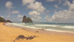 音乐短片 - Surftrip