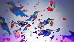 音乐短片 - Rainfall My Panda Shall Fly