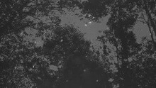 王菀之 - 我们他们 歌词版