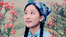 再唱映山红