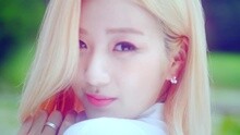 Apink - Apink - Petal 废