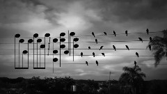 音乐短片,The Eagles - Waiting In The Weeds