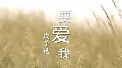 华语群星 - 要爱我