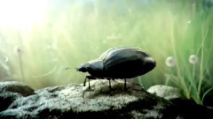 音乐短片 - The Mill 甲壳虫汽车广告制作花絮