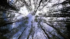 音乐短片 - For Better Moments(Smoth Relax Mix)