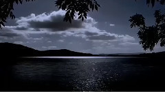 音乐短片 - 我未能忘掉你