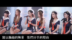 咸慇晶(T-ara),智妍,朴昭妍(T-ara),宝蓝(T-ara),T-ara - 我们分手的理由