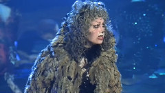 音乐短片 - 曾经的魅力猫(葛丽兹贝拉)