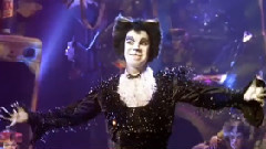 音乐短片 - 风骚哥和戏法猫