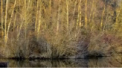 音乐短片 - 每天的祷告