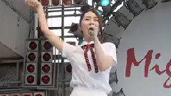 Flashe - 各种各样