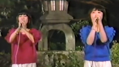 あみん,日本群星 - 待つわ
