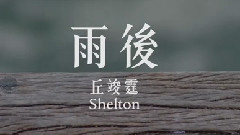 华语群星 - 雨后