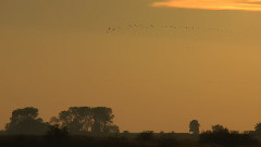 音乐短片 - Sunset Barther Oie