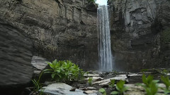 音乐短片 - 菩提Bodhi