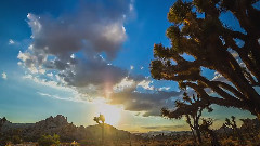 音乐短片 - Immersion