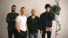 Fans - Born Into
