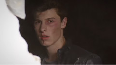 Shawn Mendes - Stitches
