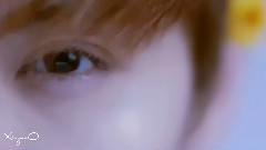 鹿晗 - Hopeless Love