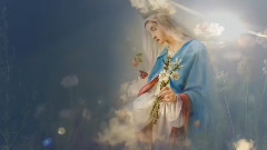 音乐短片 - Ave Maria