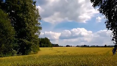 音乐短片 - Summer