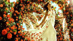 音乐短片 - Les Fleurs Sauvages