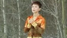 詹雅雯 - 是你伤我的心
