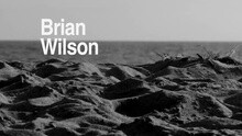 Brian Wilson - No Pier Pressure