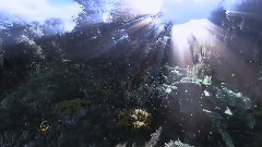 音乐短片 - Suave Suave