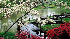 音乐短片 - Jardin De Cristal