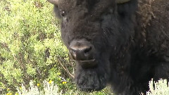 音乐短片 - What If