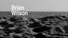 Brian Wilson - No Pier Pressure