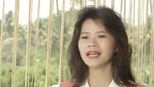 詹雅雯 - 难忘朴子桥