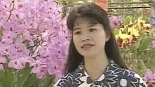 詹雅雯 - 无名花