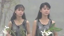 樱花姐妹 - 绝望的人