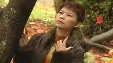 詹雅雯 - 命运不是咱决定