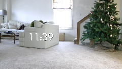 音乐短片 - 我们的猫,我们的圣诞树